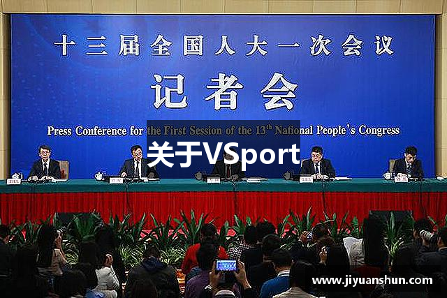 关于VSport